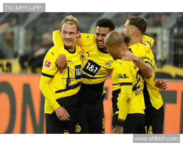 多特蒙德足球明星实力排名及影响力分析全面解读