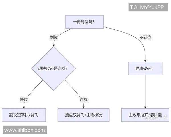 武汉排球队反击战术深度解析与实战应用探讨